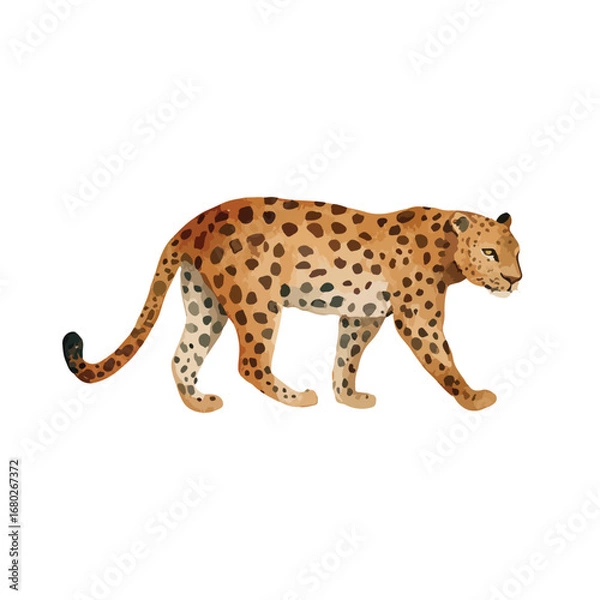 Fototapeta Watercolor Style Leopard Walking with Spotted Coat and Focused Gaze