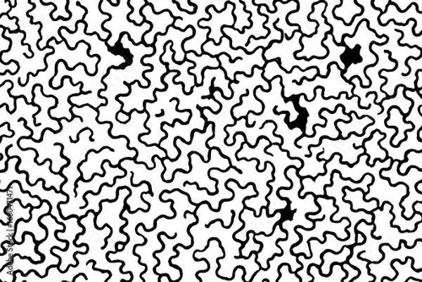 Fototapeta Abstract black and white pattern of organic shapes
