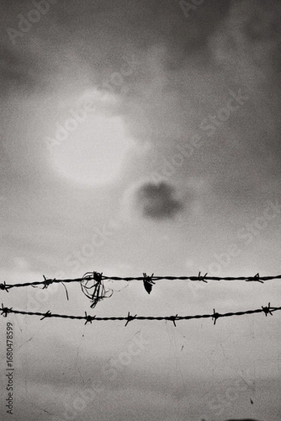 Obraz 한국의 섬, 제부도의 풍경