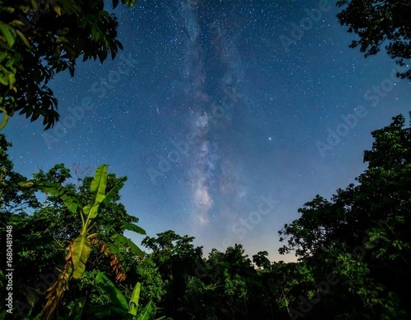 Fototapeta Lush tropical foliage frames a night sky, dotted with stars and a brilliant Milky Way.