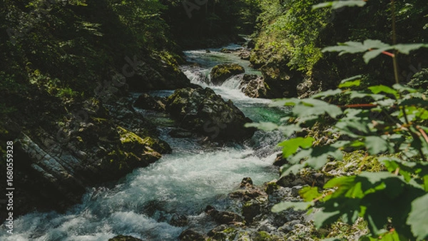 Fototapeta Vintgar Gorge in Slovenia's Julian Alps