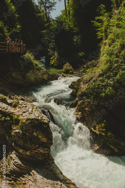 Fototapeta Vintgar Gorge in Slovenia's Julian Alps