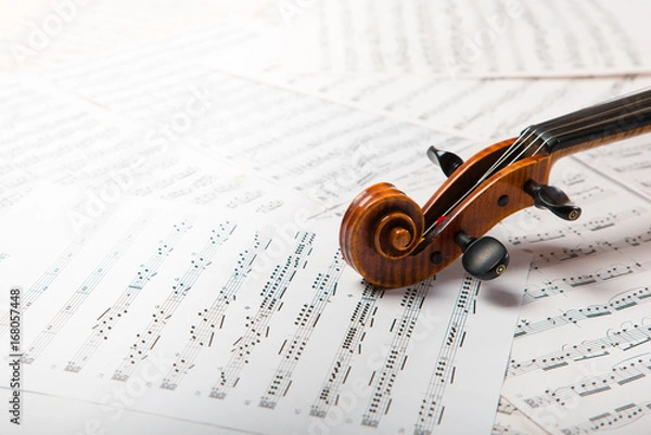 Obraz Viola on the sheets of music