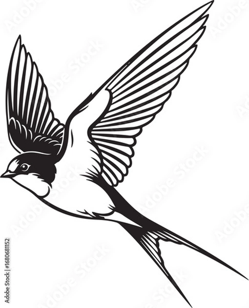Obraz swallow Line Art Vector Illustration