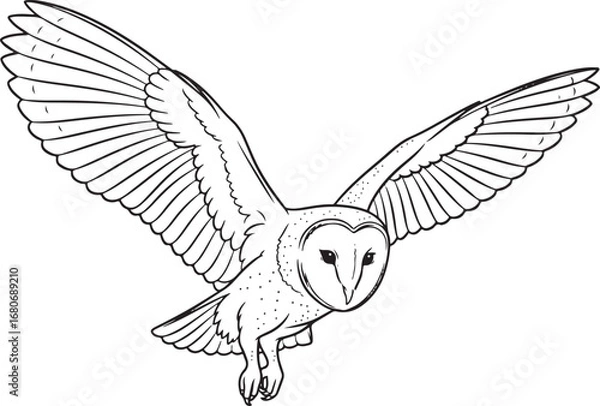 Obraz barn owl Line Art Vector Illustration