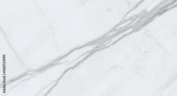 Obraz White marble with gray veining