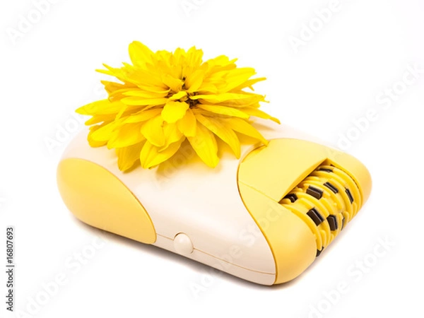 Obraz Epilator and yellow flower