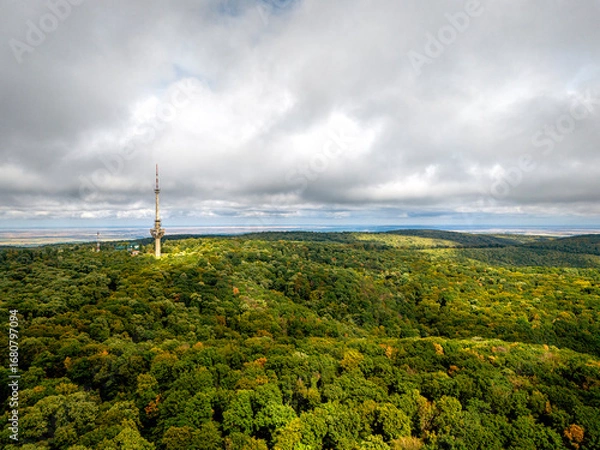 Fototapeta Destroyed TV Tower Rising Above the Forest Canopy