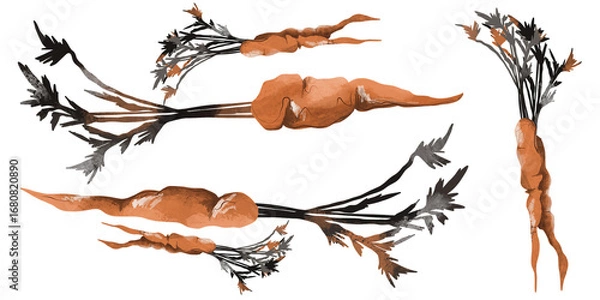 Obraz Carrot set. Colorful banner. An idea for wallpaper and textiles. Linear drawing. Rustic style.