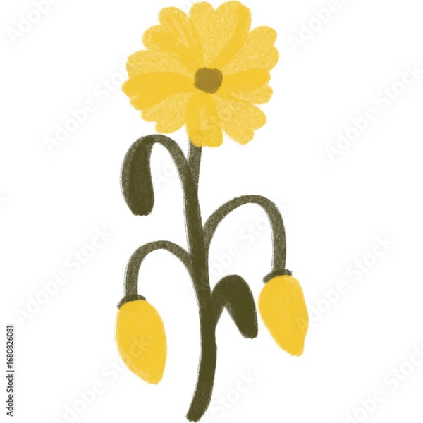 Obraz yellow flowers