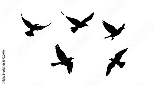Fototapeta Flock of Crows in Flight black birds flying