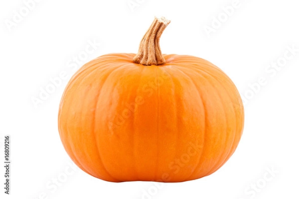 Obraz Pumpkin