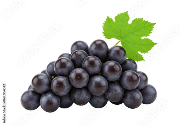 Fototapeta Isolated concord grapes with leaf, a heap of dark purple fruits ready to eat or use for juice