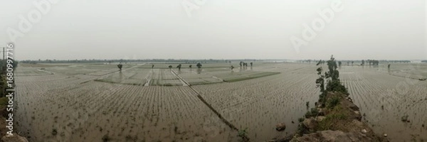 Fototapeta Panoramic view of a river overflowing its banks and flooding vast agricultural fields in Bengal