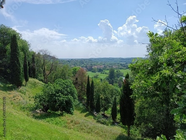 Obraz Beautiful summer landscape