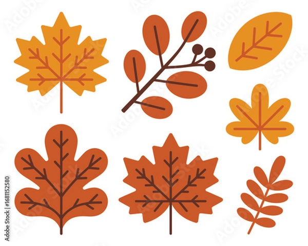 Obraz A collection of various autumn leaves and branches with berries. A set of colorful fall foliage icons with a simple flat design style