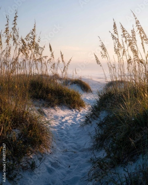 Fototapeta Path to the ocean through sea oats at sunrise; eye-level perspective of sandy trail leading to the beach in morning light
