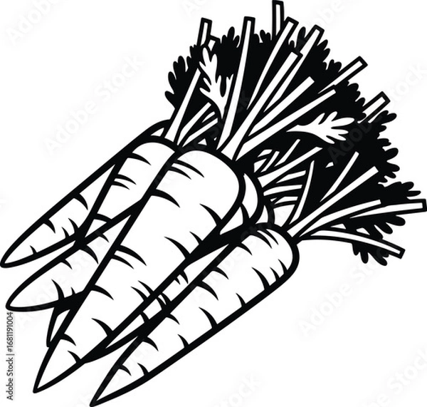 Fototapeta Carrot: A black and white line art bundle of carrots with green leafy tops, creating a clean, rustic, and organic look.