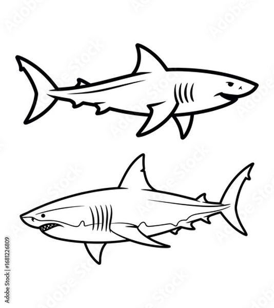 Obraz shark vector illustration