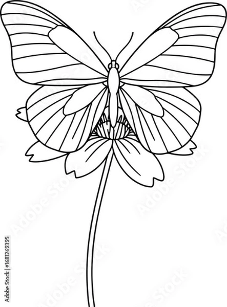 Fototapeta Butterfly: A simple line art illustration of a butterfly sitting on a flower, symbolizing nature, growth, and transformation.