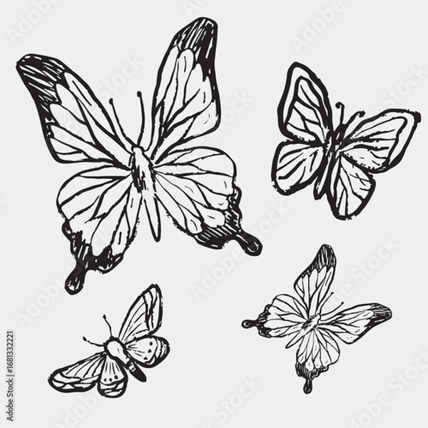 Fototapeta Hand-drawn sketch of four butterflies, symbolizing nature, spring, and freedom. Vintage vector sketch illustration. Nature drawing, animals design. Print, clothes