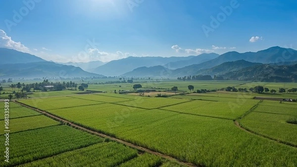 Fototapeta Using Drones to Capture Mountain Landscapes and Paddy Fields