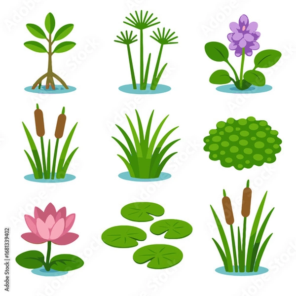 Fototapeta Flowers bulrush duckweed saplings hyacinth clusters vegetation icons marsh blooms vector icon