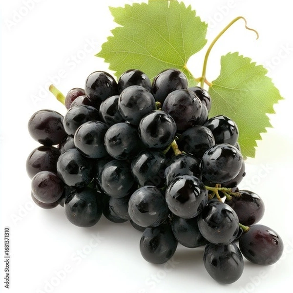 Obraz Dark purple grapes cluster, wet with water droplets, isolated on white background. Lush green leaves attached