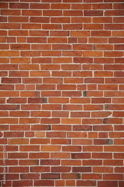 Obraz A brick wall with texture and straight lines.