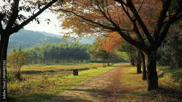 Fototapeta A Pathway Through a Verdant Forest, Bathed in Autumnal Sunlight's Gentle Embrace