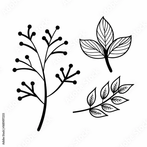 Obraz Eco Branches and Leaves Outline Icon Bundle