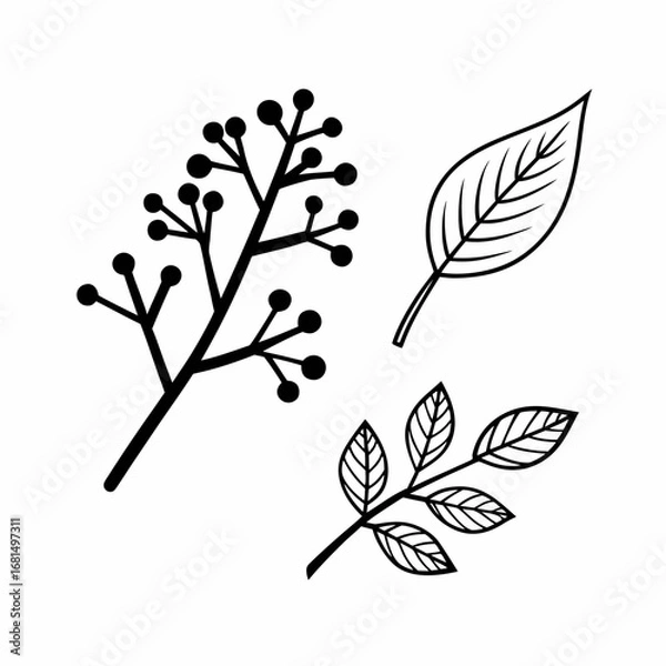 Obraz Eco Branches and Leaves Outline Icon Bundle