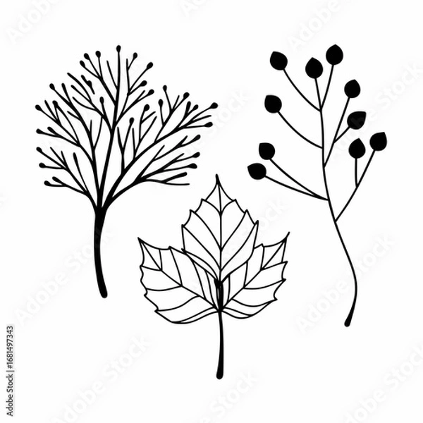 Obraz Eco Branches and Leaves Outline Icon Bundle