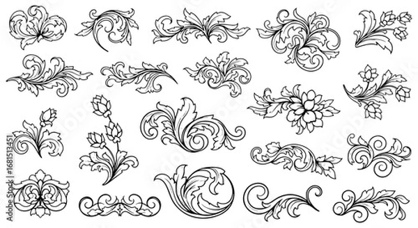 Fototapeta Vector art of assortment of delicate black and white botanical and swirling decorative motifs