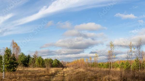 Obraz Beautiful autumn landscape, bright light and magnificent clouds
