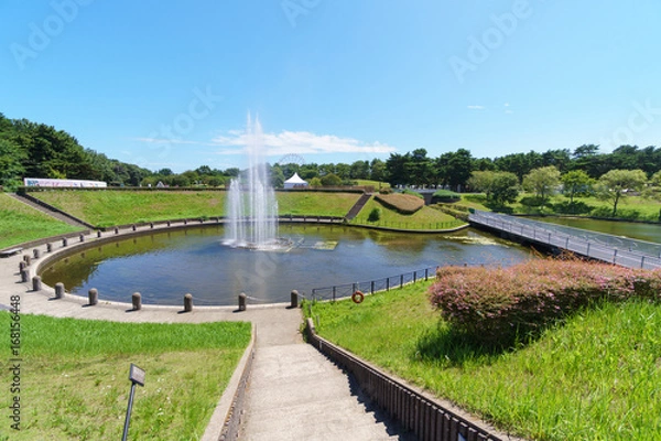 Obraz 国営ひたち海浜公園