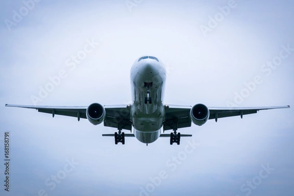 Fototapeta 飛躍する飛行機