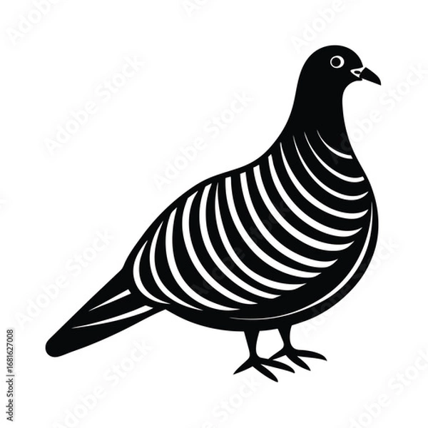 Fototapeta A peaceful white dove in flight with a graceful silhouette and a gentle beak is isolated on a clean background
