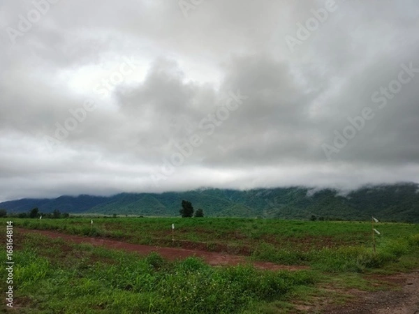 Fototapeta clouds over the field