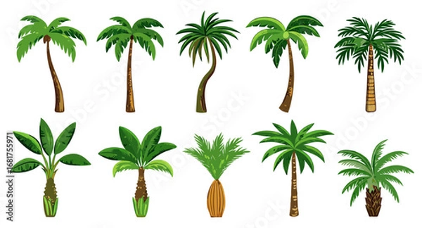 Obraz Collection of Tropical Palm Trees: Diverse Styles & Designs