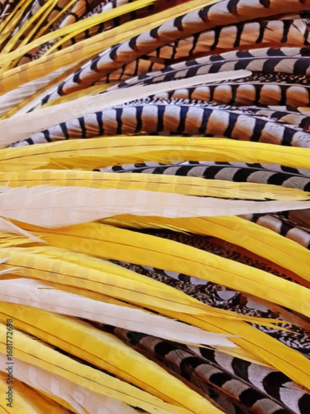 Obraz Detail background of yellow and white feathers. Fancy headdresses with carnival print. Costume and party clothing concept