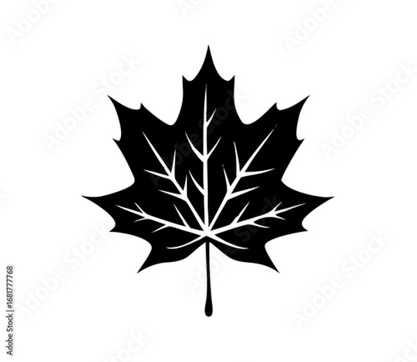 Fototapeta Maple Leaf Vector illustration design Logo template