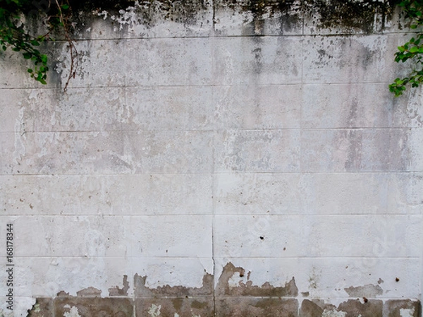Fototapeta texture broke wall dry, Abstract Background Cement, white brick wall texture and background, Wall of cement background, Cracks at the background