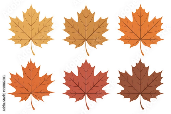Fototapeta Six Maple Leaves in Autumn Colors on White Background