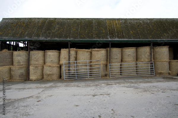 Obraz hay bales treehembourne Padstow cornwall uk