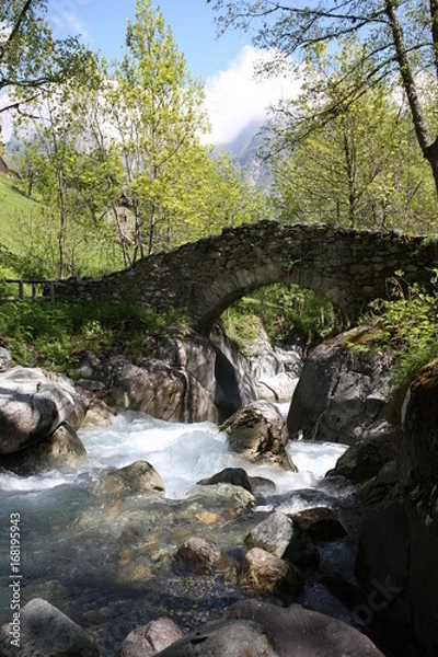 Fototapeta pont de la oule