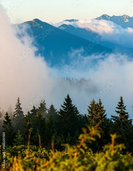 Fototapeta Misty mountain vista with evergreen forest