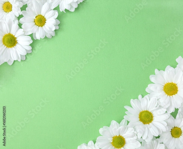Fototapeta Diagonal floral frame with daisies on green background. Flower banner. Hello summer concept. Selective focus, copy space