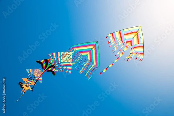 Obraz flying kites with blue sky background 