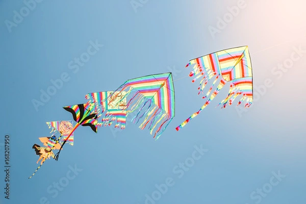 Obraz flying kites with blue sky background 